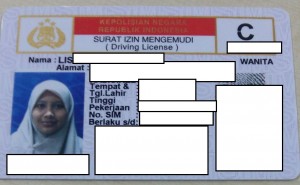 sim sensor